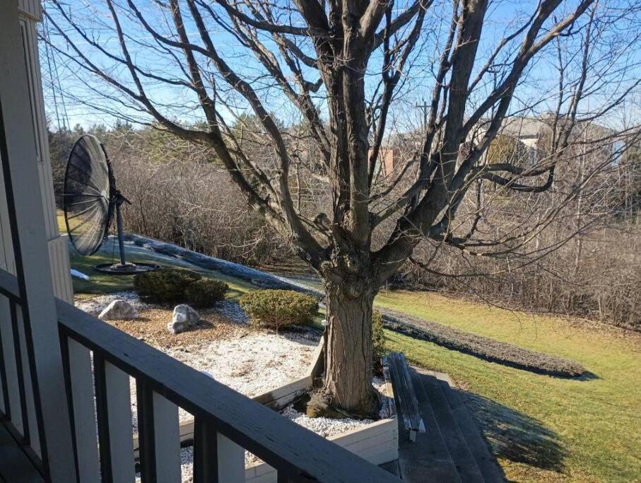Urban Oasis-Lake/Beach/Boat In City. Sleeps 8-12. Orchard Lake Exteriör bild